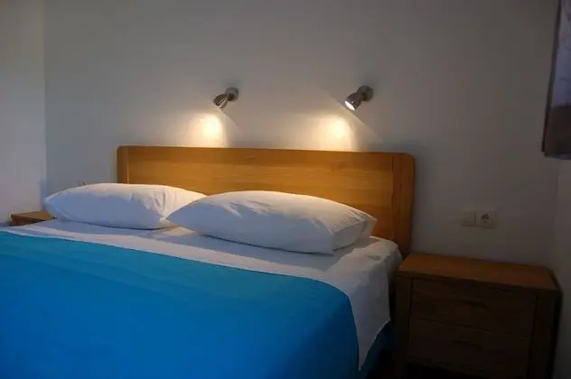 Gorgonia Suite 2
