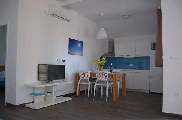 Gorgonia Suite 2
