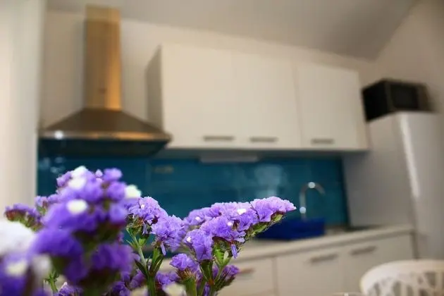 Gorgonia Suite 2