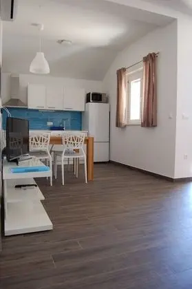 Gorgonia Suite 2