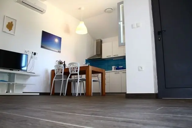 Gorgonia Suite 2