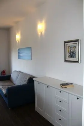 Gorgonia Suite 2