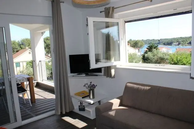 Gorgonia Suite 4