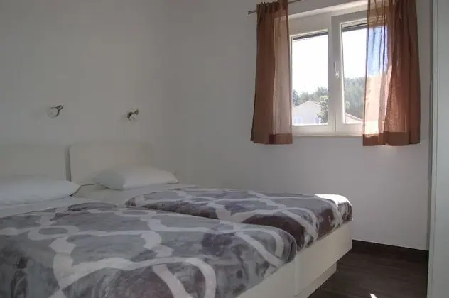 Gorgonia Suite 4