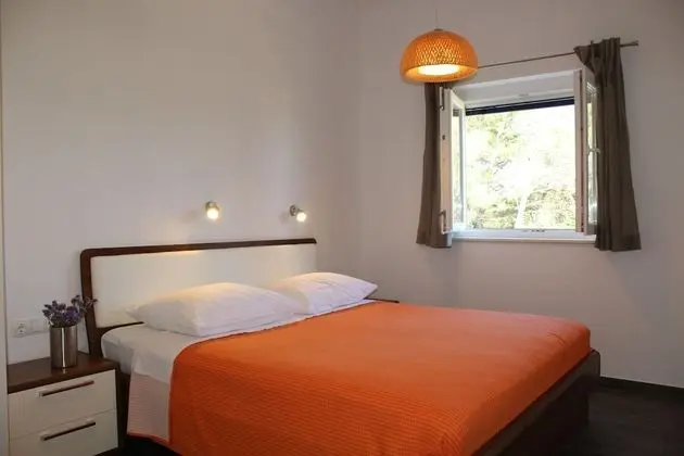 Gorgonia Suite 4