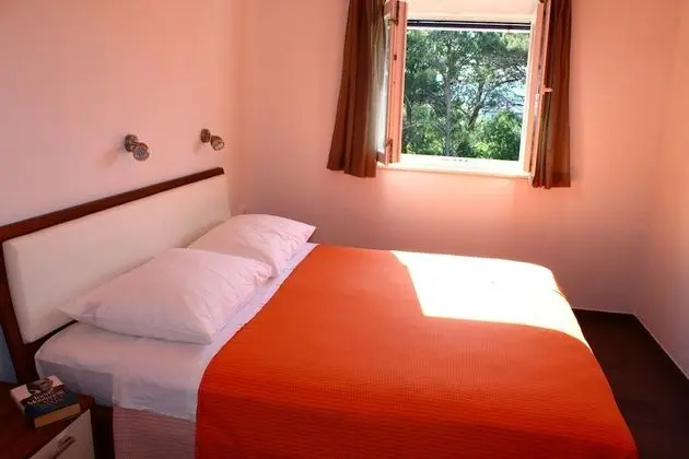 Gorgonia Suite 4