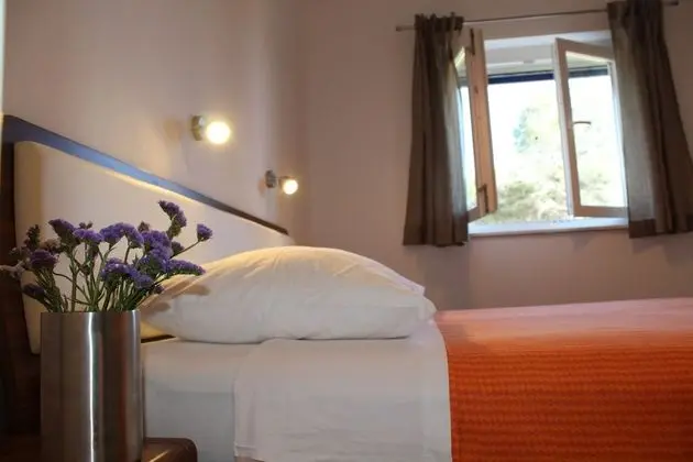 Gorgonia Suite 4