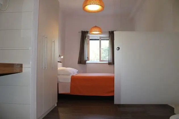Gorgonia Suite 4