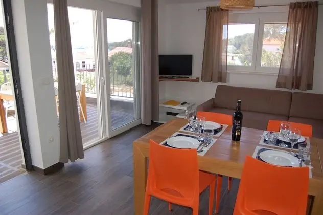 Gorgonia Suite 4