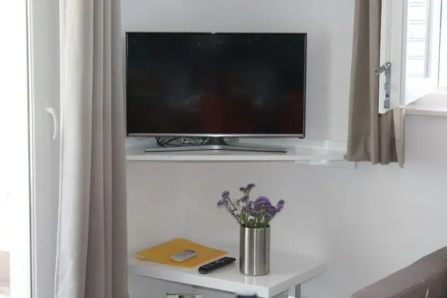 Gorgonia Suite 4