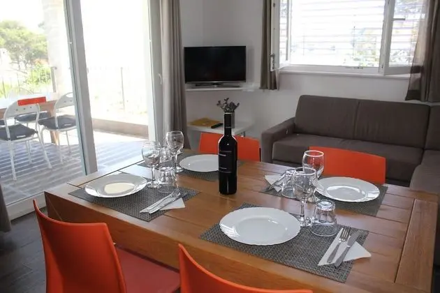 Gorgonia Suite 4
