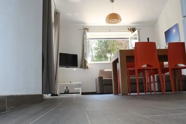 Gorgonia Suite 4