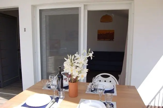 Gorgonia Suite 4