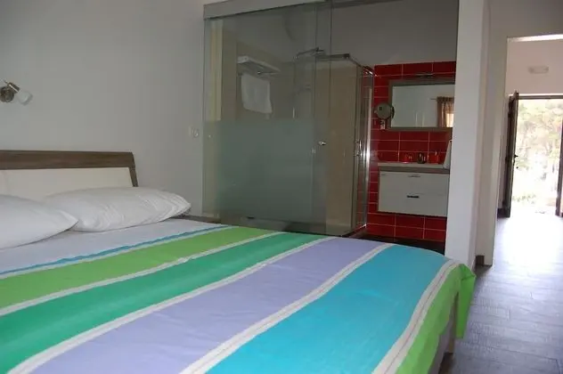 Gorgonia Suite 5