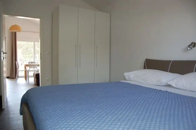 Gorgonia Suite 5