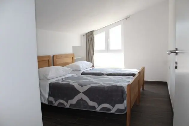 Gorgonia Suite 5