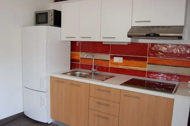 Gorgonia Suite 5