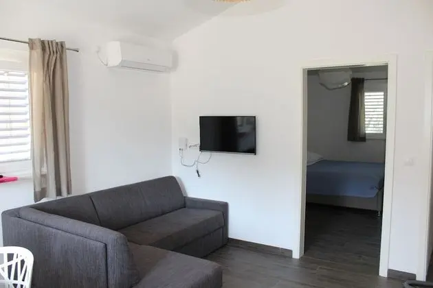 Gorgonia Suite 5