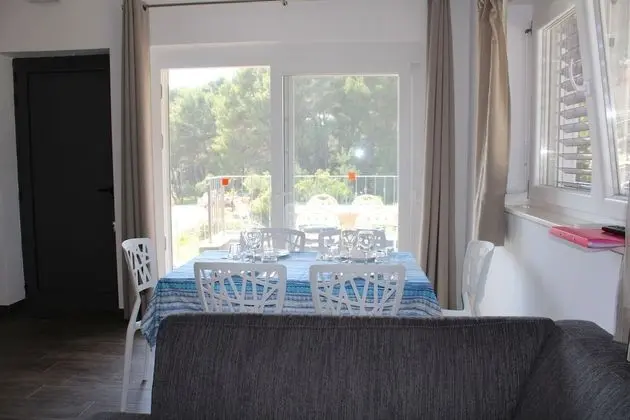 Gorgonia Suite 5