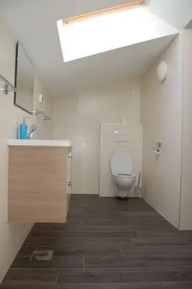 Gorgonia Suite 5