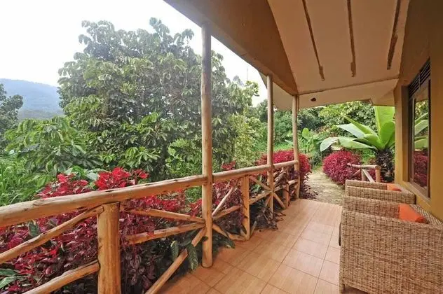 Deluxe Kır Evi, 1 Tek Kişilik Yatak, Dağ Yamacı