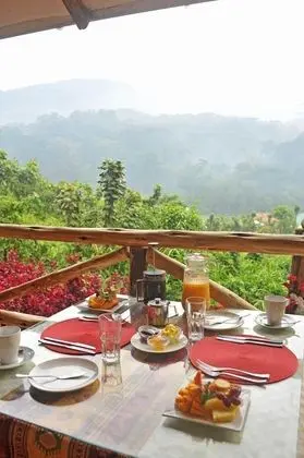 Deluxe Tek Büyük veya İki Ayrı Yataklı Oda, 1 Yatak Odası, Park Manzaralı, Dağ Yamacı