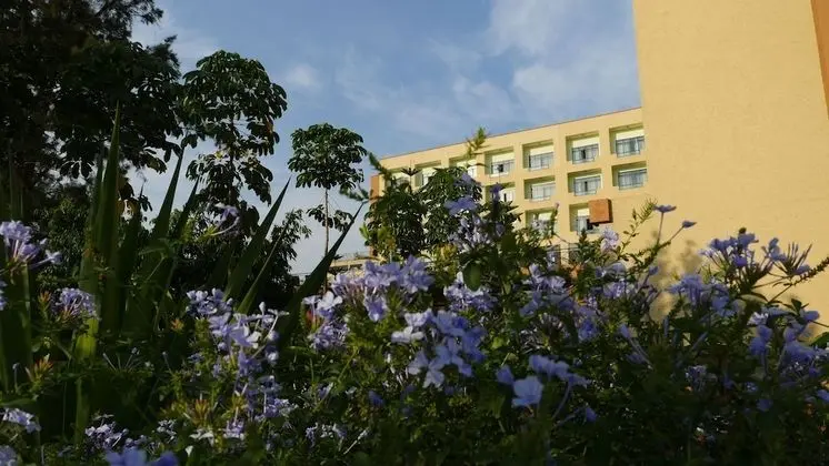 Standard Oda, Park Manzaralı