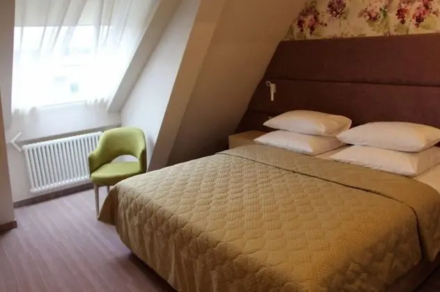 Standard Tek Büyük Yataklı Oda, 1 Çift Kişilik Yatak