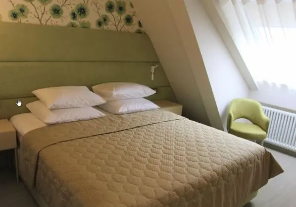 Standard Tek Büyük Yataklı Oda, 1 Çift Kişilik Yatak