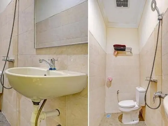 Deluxe Tek Büyük Yataklı Oda, Birden Çok Yatak