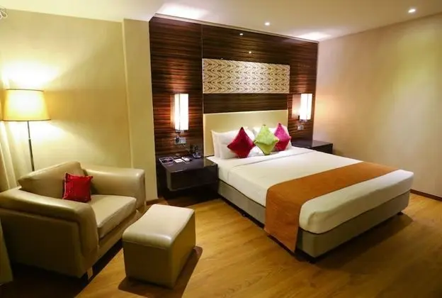 Deluxe Tek Büyük Yataklı Oda, Şehir Manzaralı