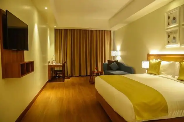 Deluxe Tek Büyük Yataklı Oda, Şehir Manzaralı