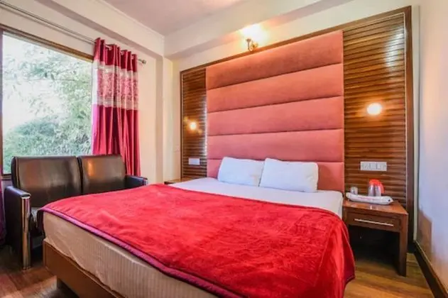 Deluxe Tek Büyük Yataklı Oda, Birden Çok Yatak Odası, Sigara İçilmez, Şehir Manzaralı