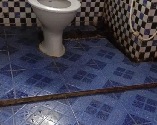 Deluxe Tek Büyük Yataklı Oda, Birden Çok Yatak
