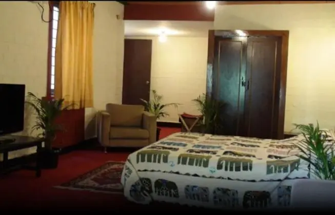 Deluxe Tek Büyük Yataklı Oda, Şehir Manzaralı