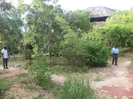 Kır Evi, 1 Çift Kişilik Yatak
