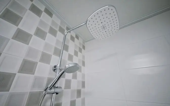 Oda (203)