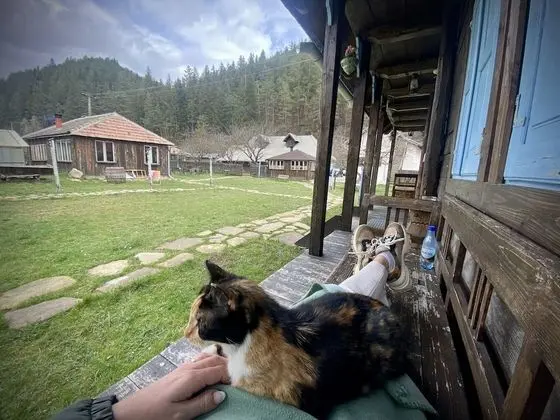 Basic Bungalov, Birden Çok Yatak