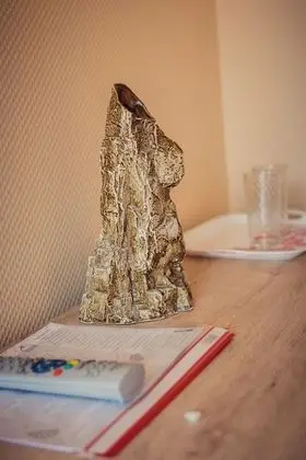 Standard Tek Büyük veya İki Ayrı Yataklı Oda, Ortak Banyo