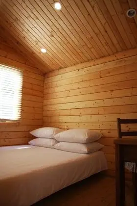 Oda (Medium Cabin)