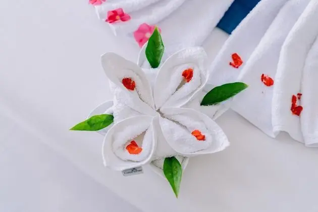 Deluxe Oda, Sigara İçilmez, Bahçe Manzaralı