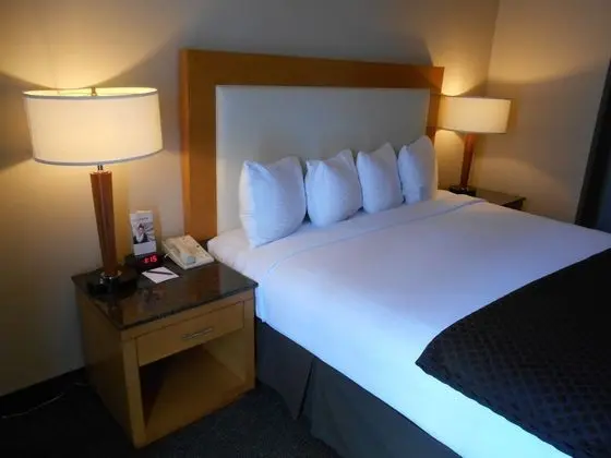 Oda, 1 Büyük (Queen) Boy Yatak, Engellilere Uygun