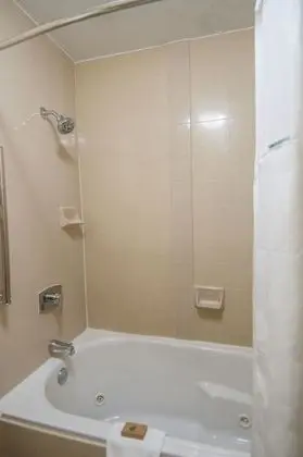 Executive King Suite/Separate Living Room & Full Size Bed