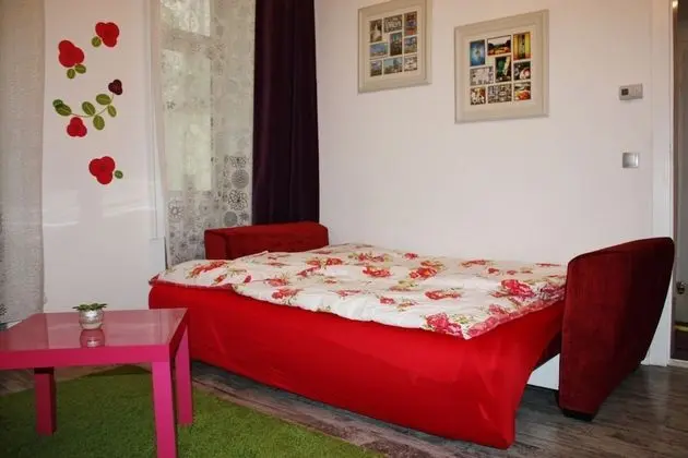 Standard Apart Daire, 1 Yatak Odası, Mutfak