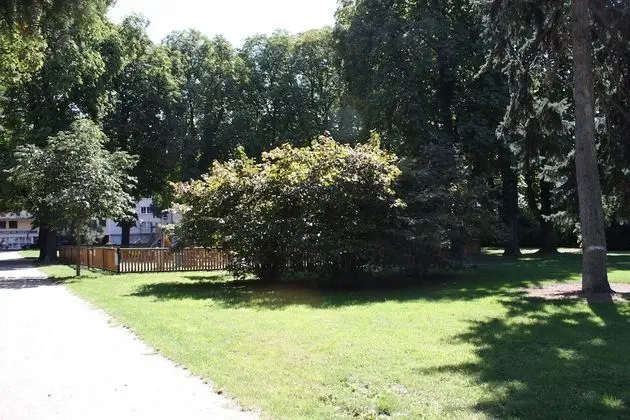 Stüdyo