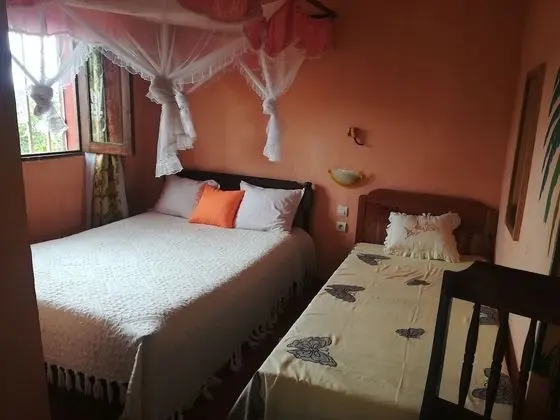 Standard Oda, 1 Çift Kişilik Yatak, Engellilere Uygun, Dağ Manzaralı