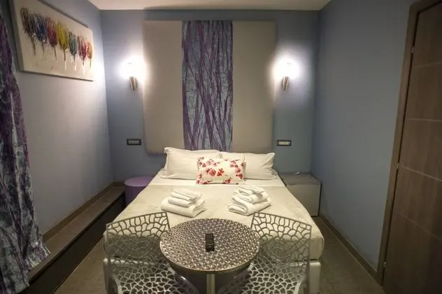Deluxe Tek Büyük veya İki Ayrı Yataklı Oda, Sigara İçilmez