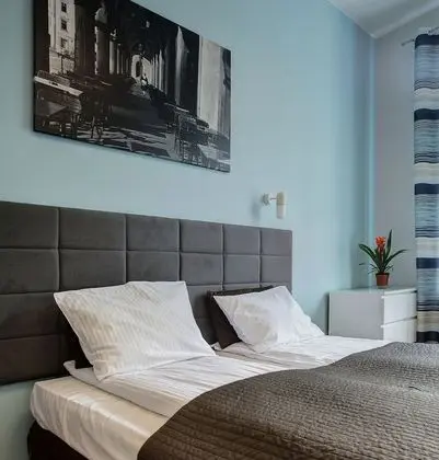 Stüdyo (3 Bush Daisy)