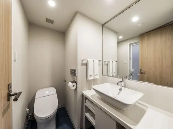 Tek Büyük Yataklı Oda, Sigara İçilmez (For 2 Guests)