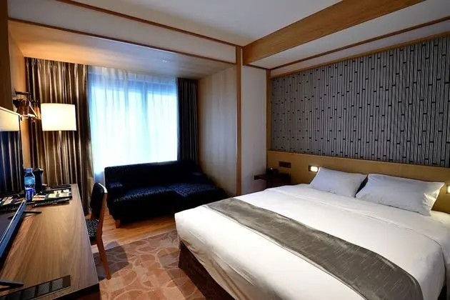 Standard Tek Büyük Yataklı Oda, 1 Büyük (Queen) Boy Yatak, Küvet, Şehir Manzaralı